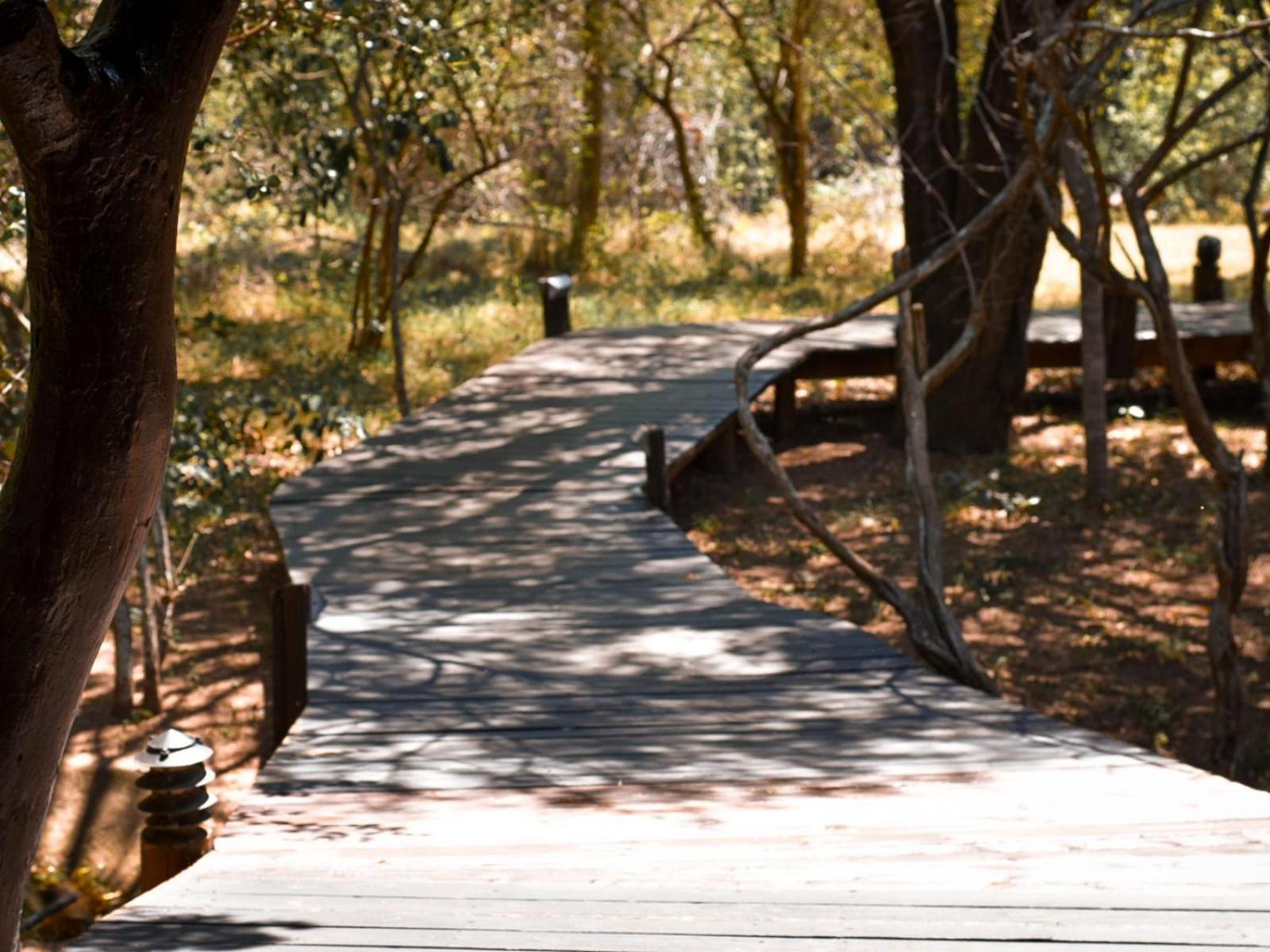 Ihlozi Bush Lodge Хлухлуве Екстериор снимка